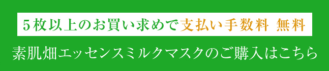 通常購入はこちら